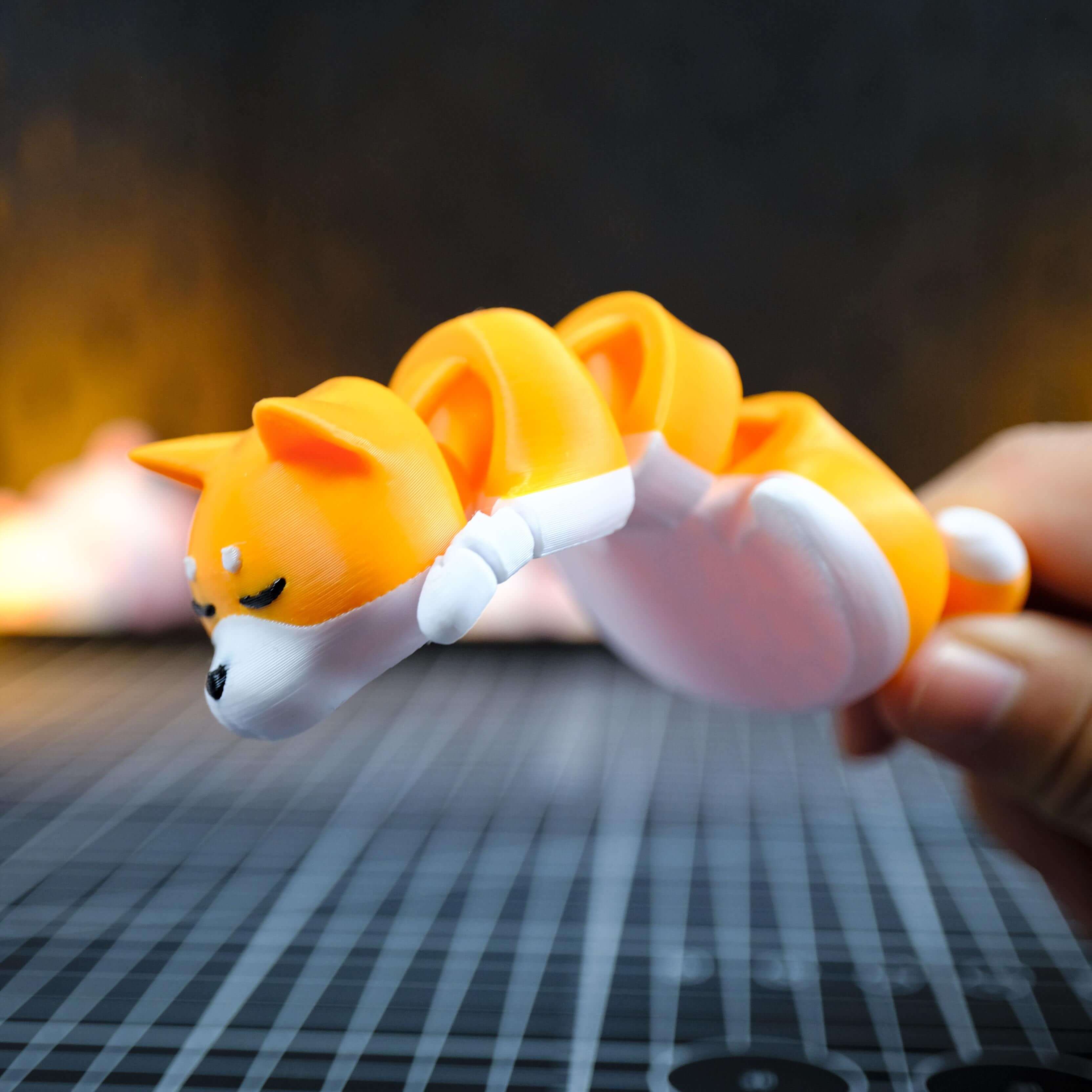 Cute Shiba Dog Flexi